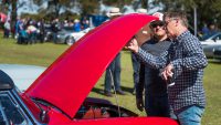 MG Car Club Sydney at All British Day