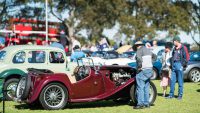 MG Car Club Sydney at All British Day