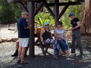 Mountain Tea Beach Picnic Run