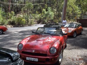 Mountain Tea Beach Picnic Run