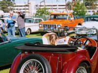 2017 National Motoring Heritage Day