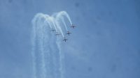 Wings over Illawarra 2017