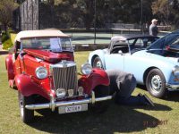 MG Car Club at 2017 All British Day