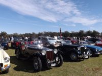 MG Car Club at 2017 All British Day