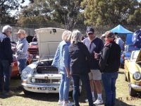 MG Car Club at 2017 All British Day