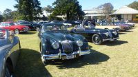 MG Car Club Illawarra Register at the 2017 All British Day