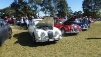 MG Car Club Illawarra Register at the 2017 All British Day