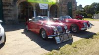 MG Car Club Illawarra Register at the 2017 All British Day