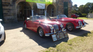 MG Car Club Illawarra Register at the 2017 All British Day