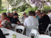 September 2017 MG Car Club Run to Lunch in the Southern Highlands