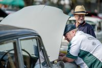 2017 MG Car Club Sydney Display Day & Concours d'Elegance