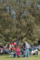 2017 MG Car Club Sydney Display Day & Concours d'Elegance