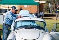 2017 MG Car Club Sydney Display Day & Concours d'Elegance