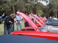 2017 MG Car Club Sydney Display Day & Concours d'Elegance