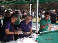 2017 MG Car Club Sydney Display Day & Concours d'Elegance