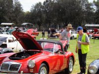 2017 MG Car Club Sydney Display Day & Concours d'Elegance