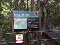 September 2017 Illawarra Register Run to Minamurra Rain Forest