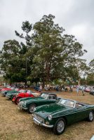 MG Car Club Display at CARnivale 2018