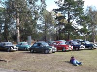 2018 Magnette Register Run Southern Highlands