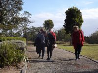 June 2018 MWM to Mount Penang Gardens