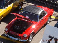 MG Car Club at the 2018 CMC Shannons Sydney Classic