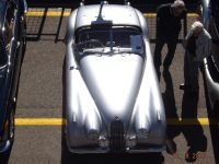 MG Car Club at the 2018 CMC Shannons Sydney Classic