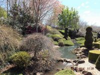 Run to 5th Chapter Estate Gardens and Lunch at Burrawang Village Hotel
