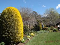 Run to 5th Chapter Estate Gardens and Lunch at Burrawang Village Hotel