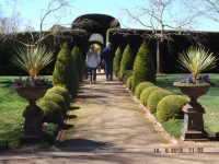 Run to 5th Chapter Estate Gardens and Lunch at Burrawang Village Hotel