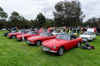 MG Car Club 2018 Concours & Display Day