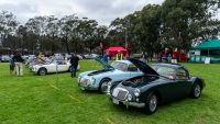 MG Car Club 2018 Concours & Display Day