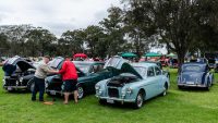 MG Car Club 2018 Concours & Display Day