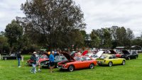 MG Car Club 2018 Concours & Display Day