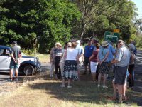 Wyong Milk Factory MG Run