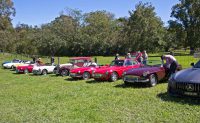 2019 MG RV8 Run to Wollombi Bob Parkinson