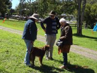 2019 MG RV8 Run to Wollombi Ingo Weinberger