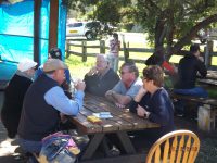 2019 MG RV8 Run to Wollombi Ingo Weinberger