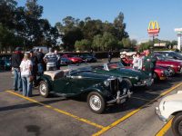 2019 Old Speckled Hen Run