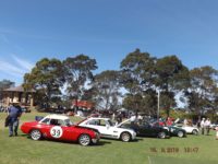 2019 Sydney All British Day