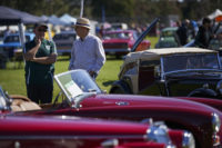 2019 Sydney All British Day