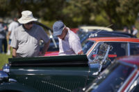 2019 Sydney All British Day