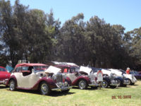 2019 MG Car Club Sydney Concours & Display Day by Ingo Weinberger