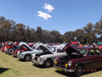 2019 MG Car Club Sydney Concours & Display Day by Ingo Weinberger