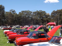 2019 MG Car Club Sydney Concours & Display Day by Ingo Weinberger