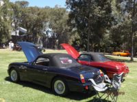 2019 MG Car Club Sydney Concours & Display Day by Ingo Weinberger