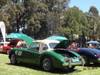 2019 MG Car Club Sydney Concours & Display Day by Ingo Weinberger