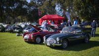 MG Car Club Sydney Concours & Display Day Seth Reinhardt