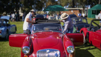 MG Car Club Sydney Concours & Display Day Seth Reinhardt