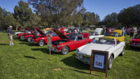 MG Car Club Sydney Concours & Display Day Seth Reinhardt