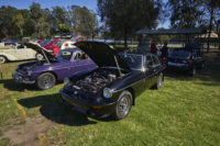 MG Car Club Sydney Concours & Display Day Seth Reinhardt